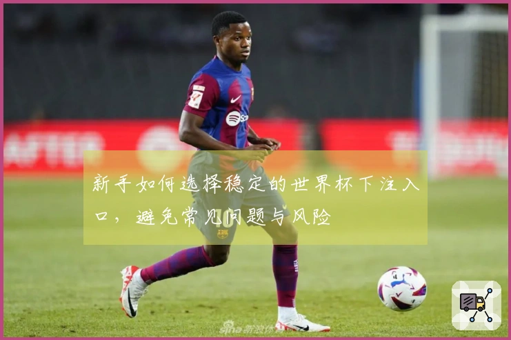 新手如何选择稳定的世界杯下注入口,避免常见问题与风险
