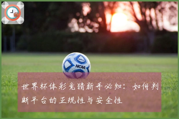 世界杯体彩竞猜新手必知:如何判断平台的正规性与安全性